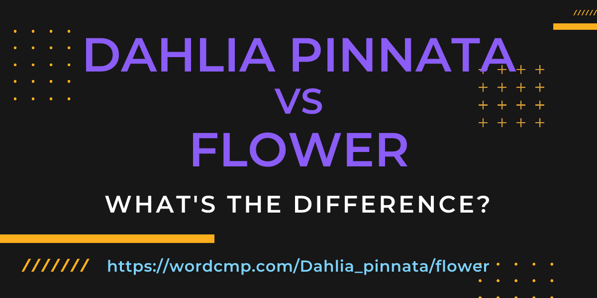 Difference between Dahlia pinnata and flower