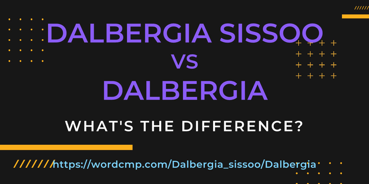 Difference between Dalbergia sissoo and Dalbergia