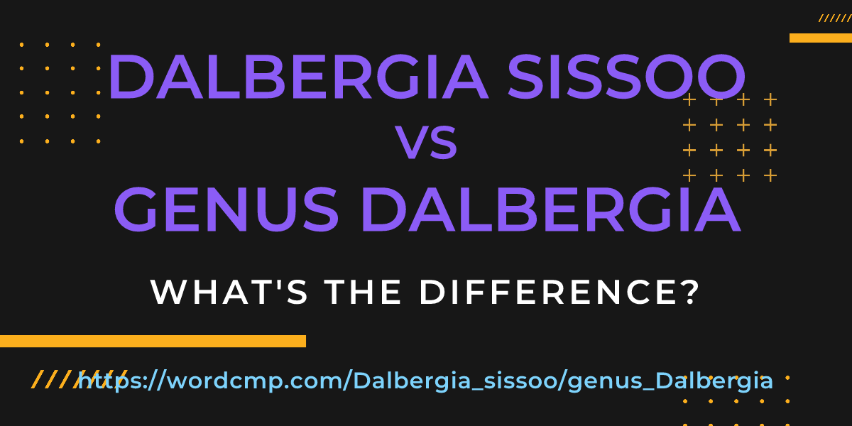 Difference between Dalbergia sissoo and genus Dalbergia