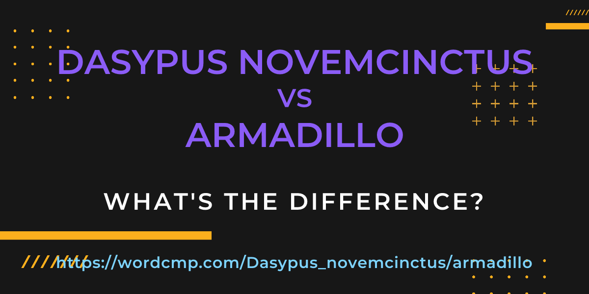 Difference between Dasypus novemcinctus and armadillo