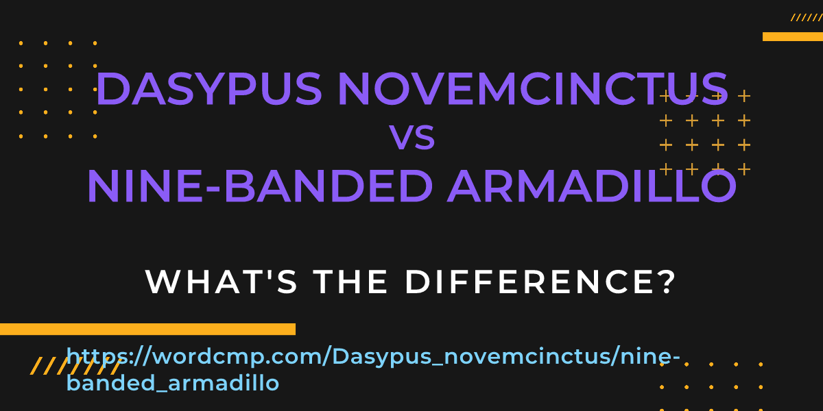 Difference between Dasypus novemcinctus and nine-banded armadillo