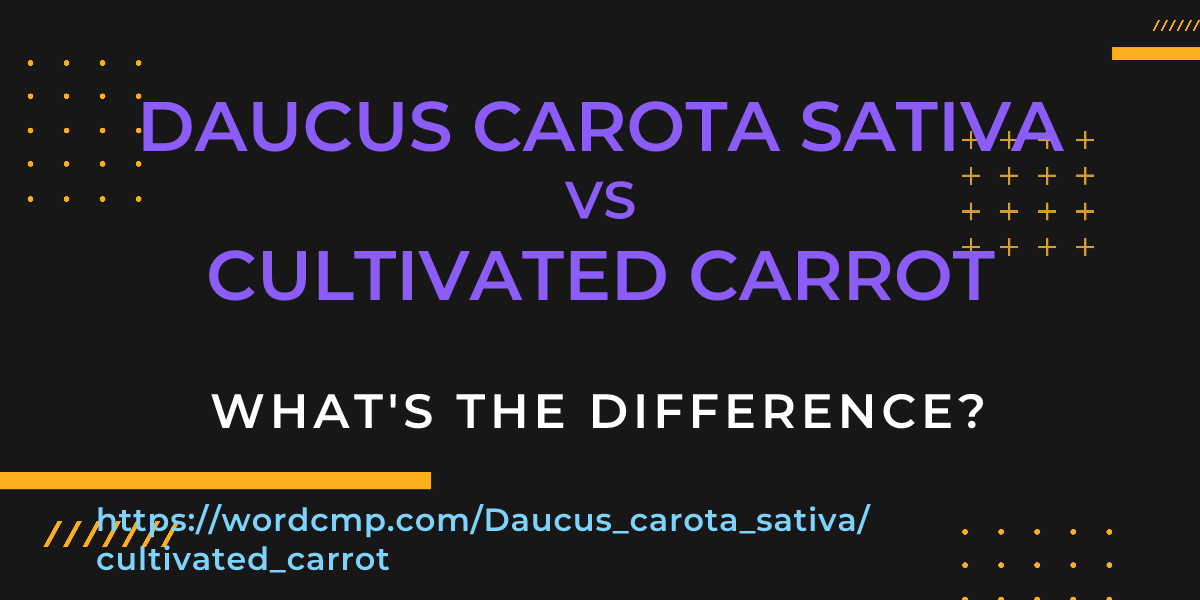 Difference between Daucus carota sativa and cultivated carrot