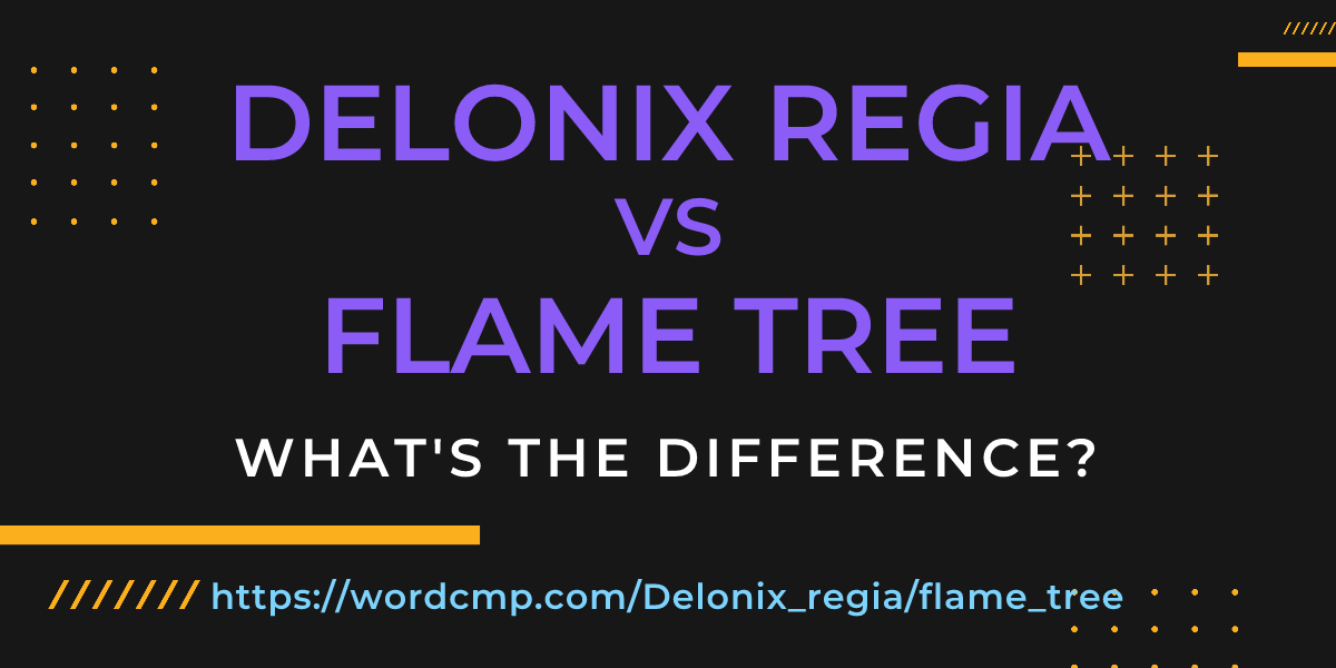 Difference between Delonix regia and flame tree