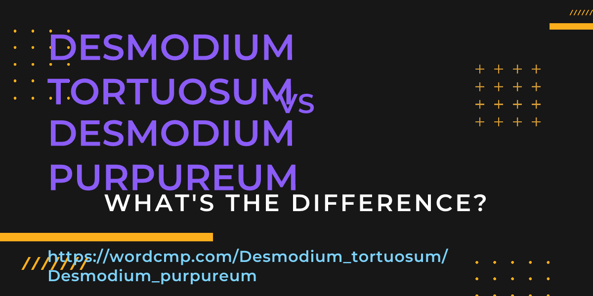 Difference between Desmodium tortuosum and Desmodium purpureum