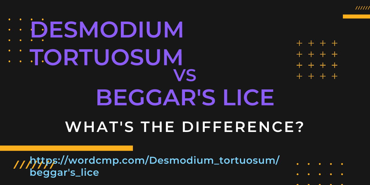 Difference between Desmodium tortuosum and beggar's lice