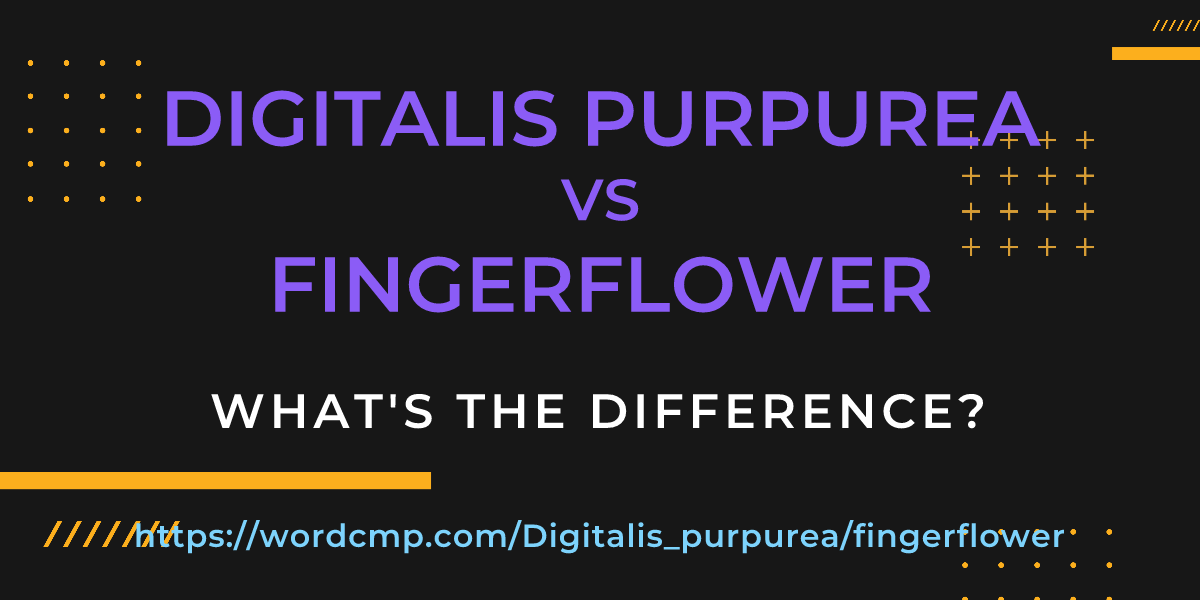 Difference between Digitalis purpurea and fingerflower