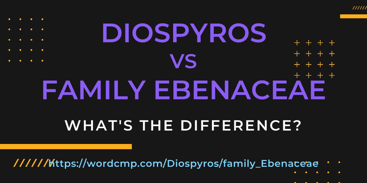 Difference between Diospyros and family Ebenaceae