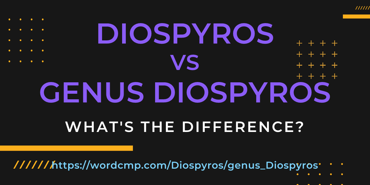 Difference between Diospyros and genus Diospyros