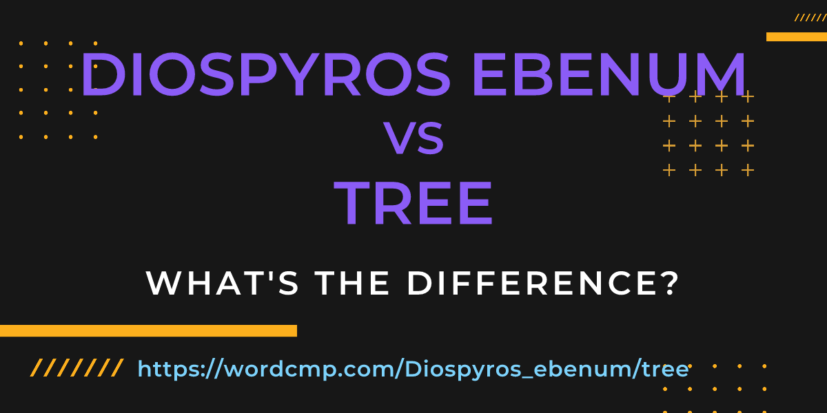 Difference between Diospyros ebenum and tree