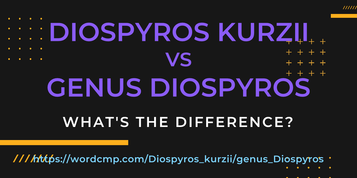 Difference between Diospyros kurzii and genus Diospyros