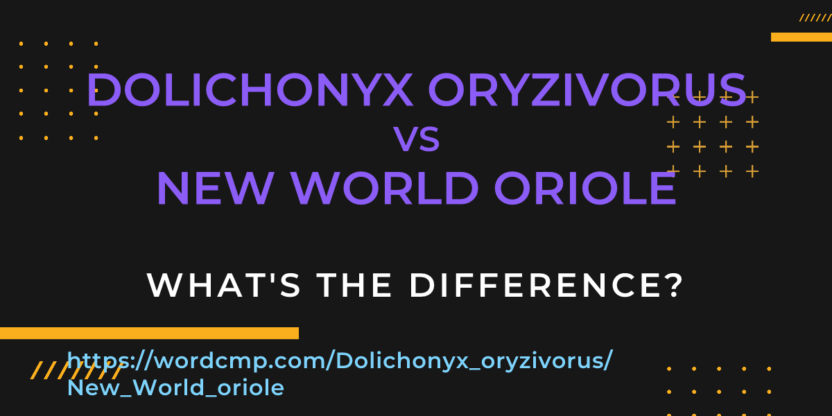 Difference between Dolichonyx oryzivorus and New World oriole