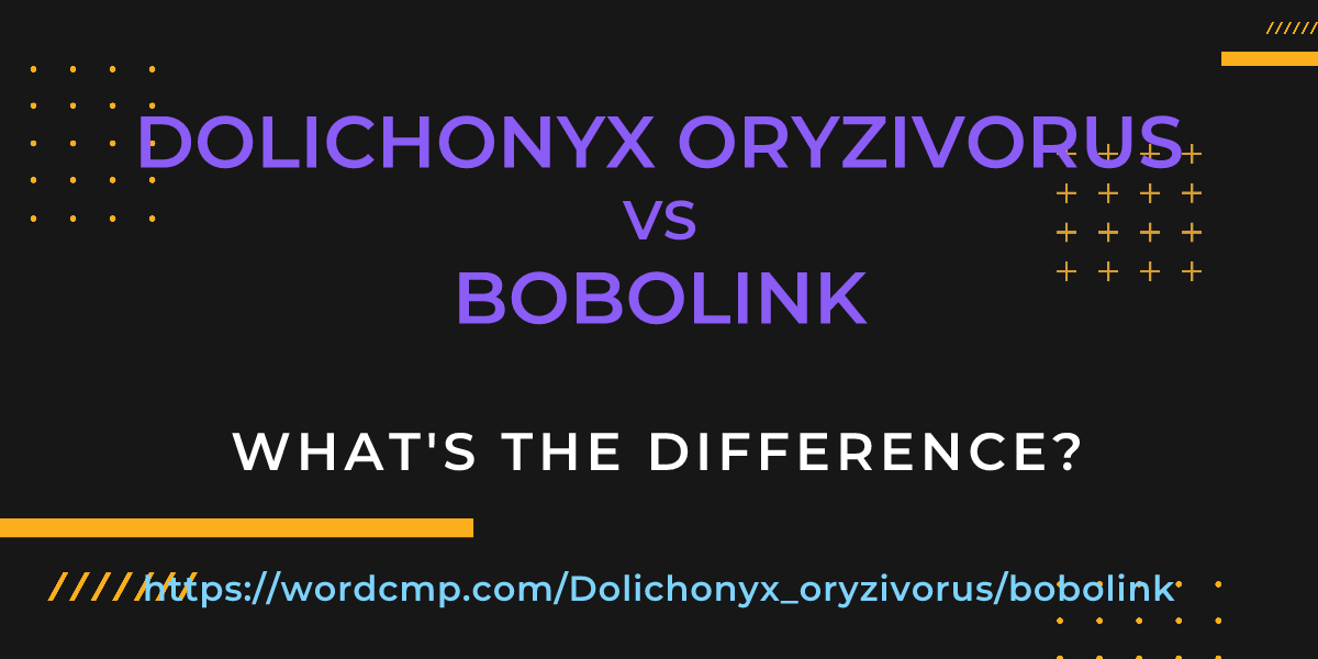 Difference between Dolichonyx oryzivorus and bobolink