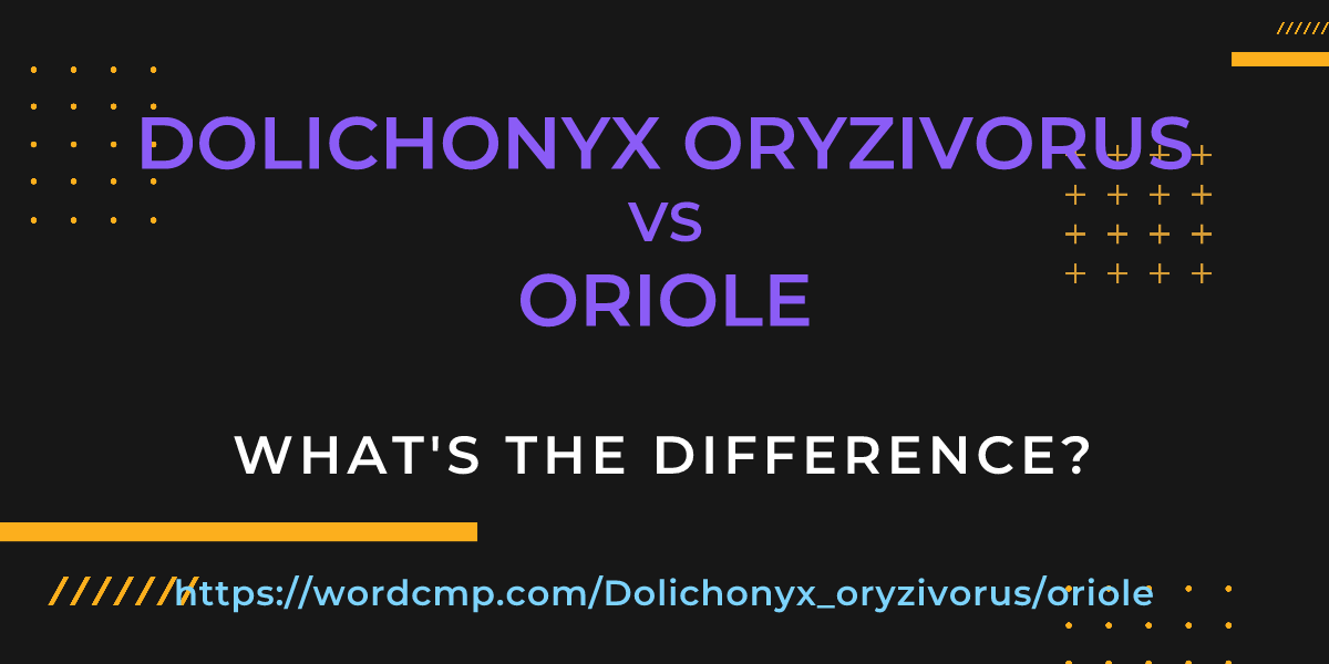 Difference between Dolichonyx oryzivorus and oriole