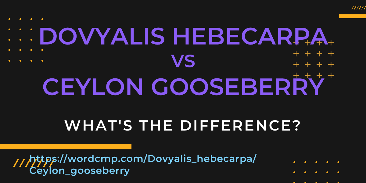 Difference between Dovyalis hebecarpa and Ceylon gooseberry