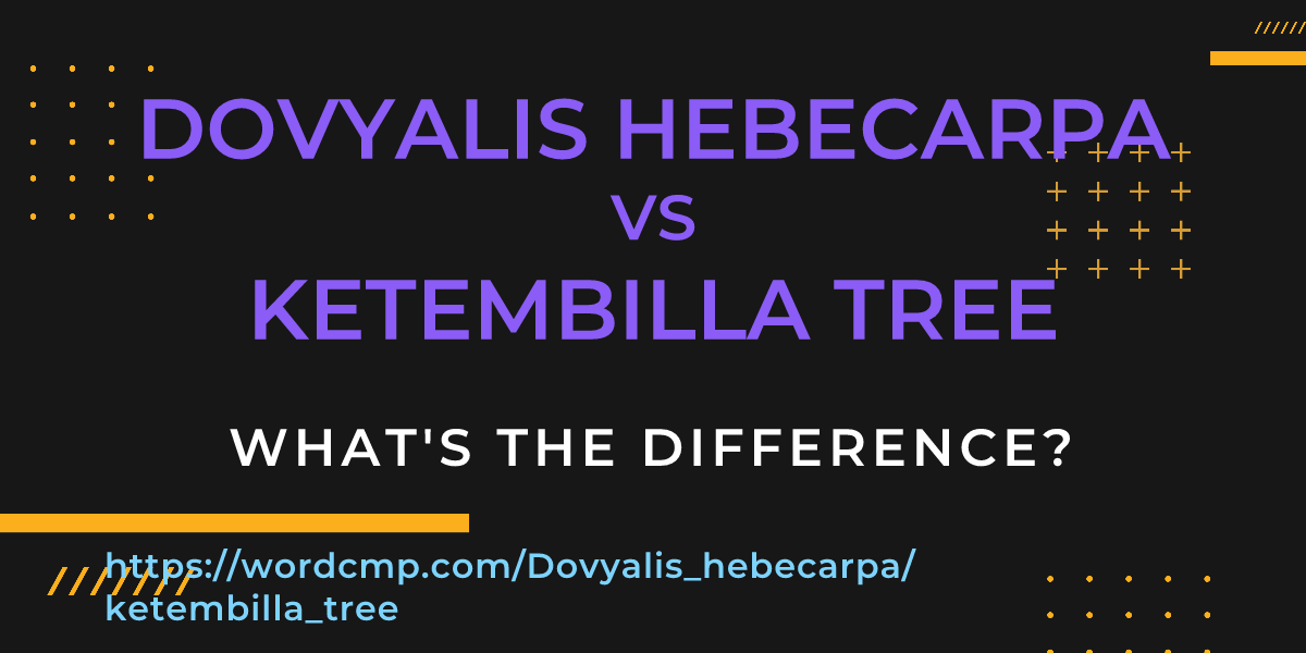 Difference between Dovyalis hebecarpa and ketembilla tree