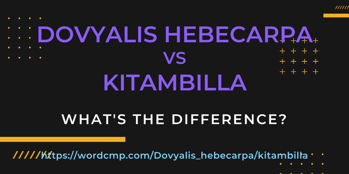 Difference between Dovyalis hebecarpa and kitambilla