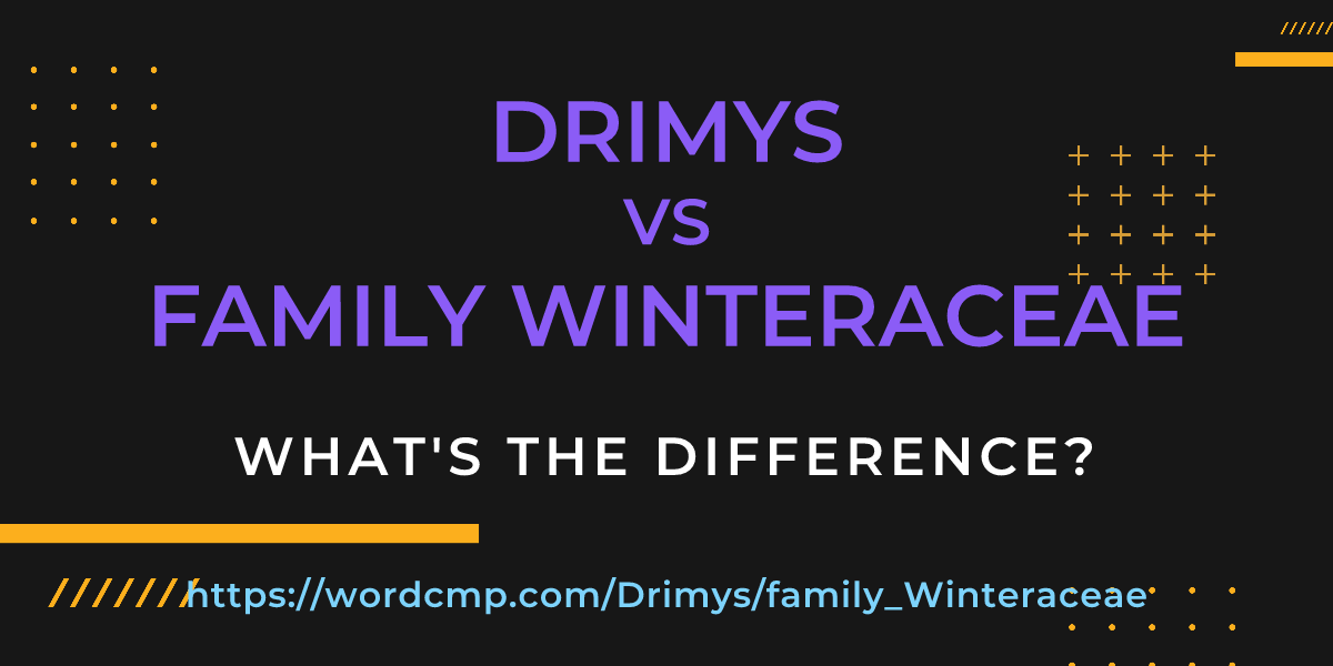 Difference between Drimys and family Winteraceae