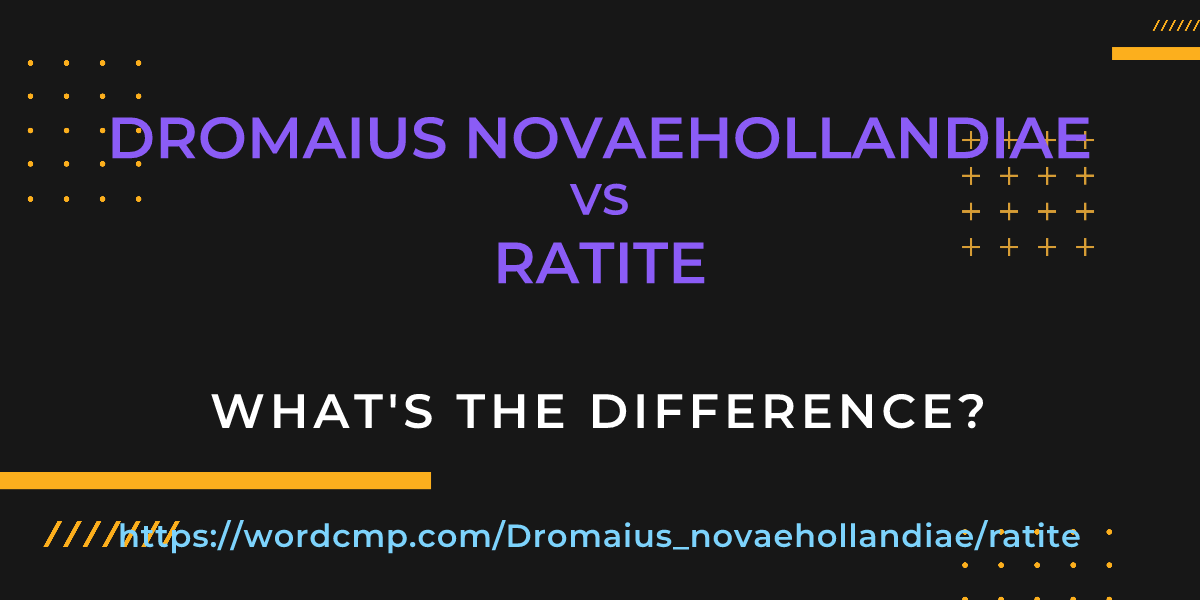 Difference between Dromaius novaehollandiae and ratite