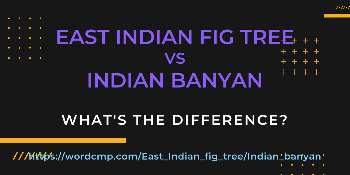 Difference between East Indian fig tree and Indian banyan
