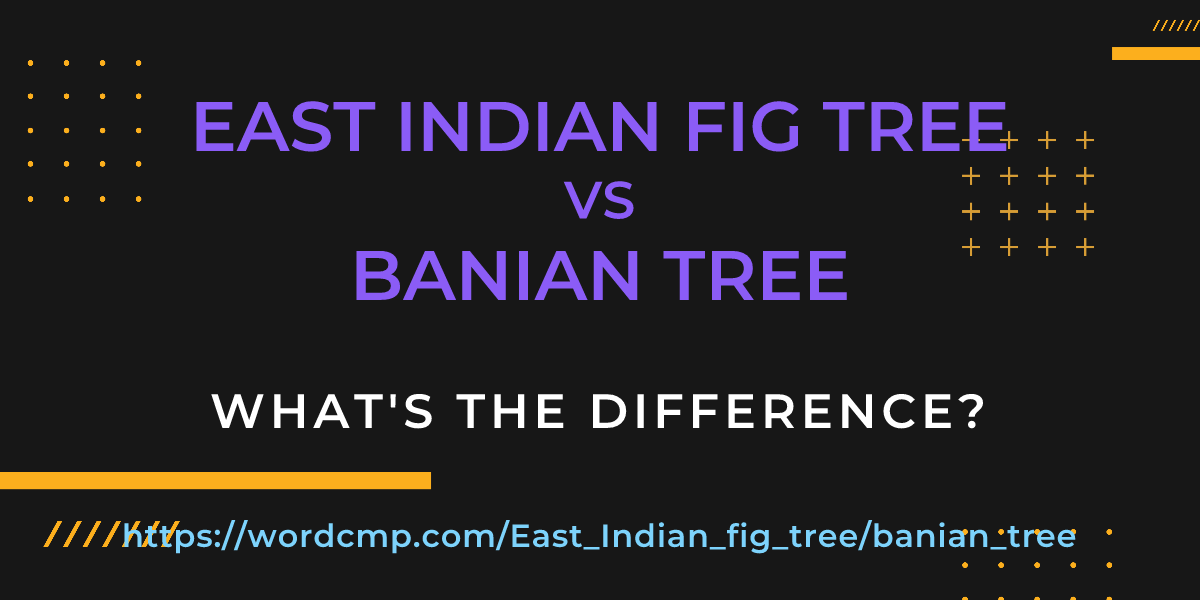 Difference between East Indian fig tree and banian tree