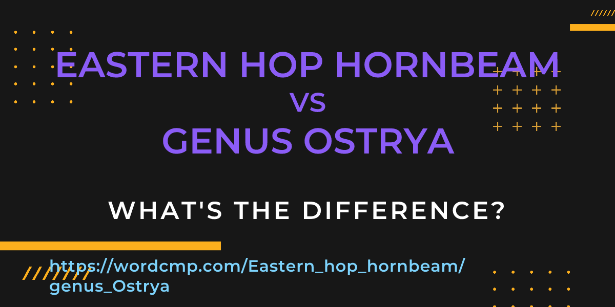 Difference between Eastern hop hornbeam and genus Ostrya