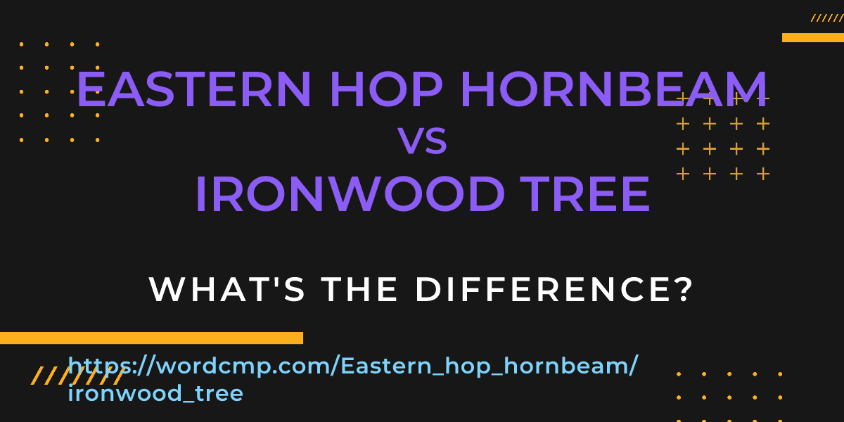 Difference between Eastern hop hornbeam and ironwood tree