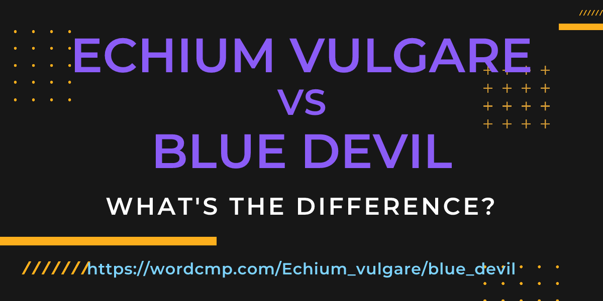 Difference between Echium vulgare and blue devil