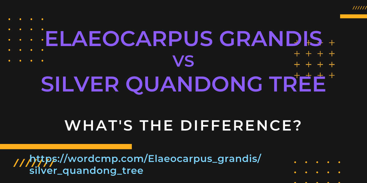 Difference between Elaeocarpus grandis and silver quandong tree