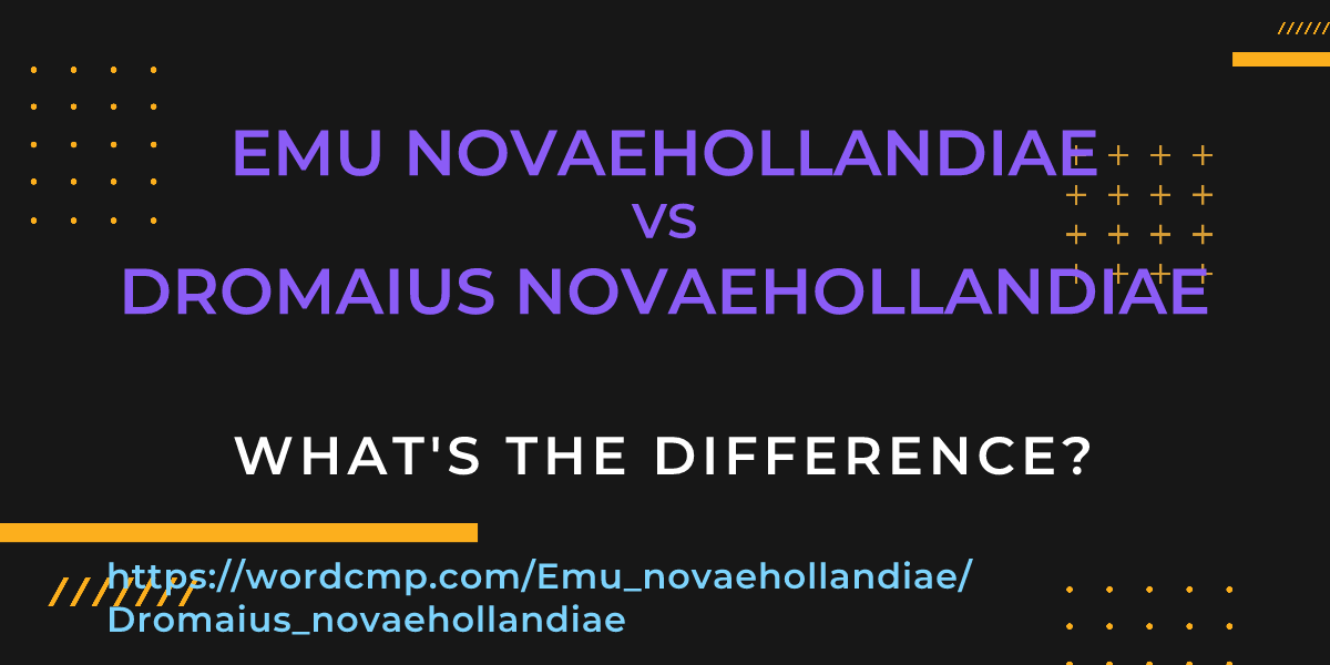 Difference between Emu novaehollandiae and Dromaius novaehollandiae
