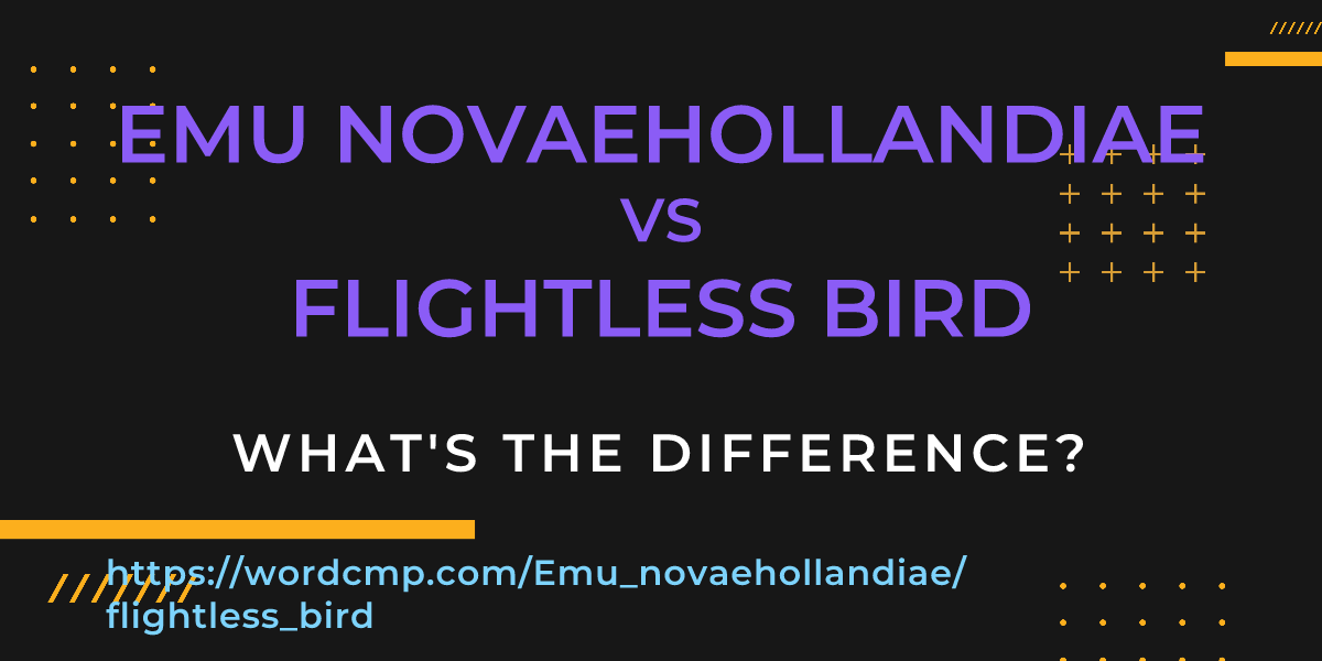 Difference between Emu novaehollandiae and flightless bird