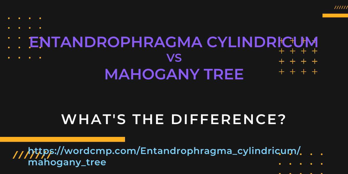 Difference between Entandrophragma cylindricum and mahogany tree