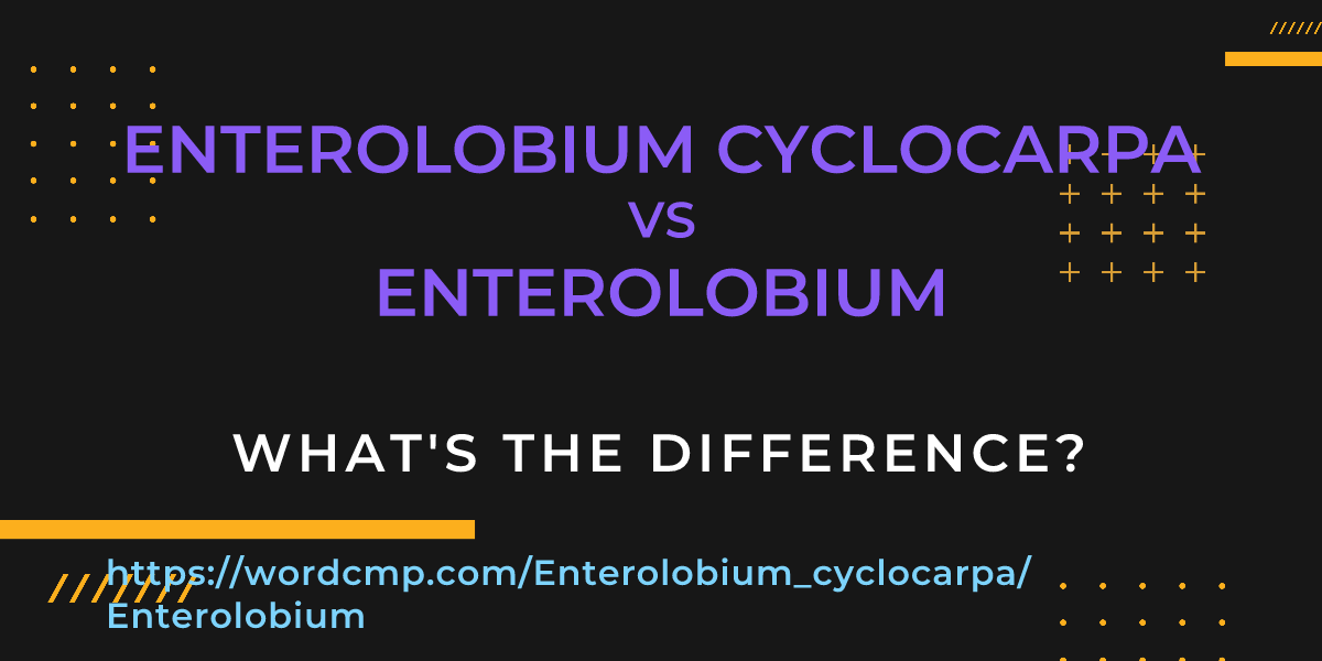 Difference between Enterolobium cyclocarpa and Enterolobium