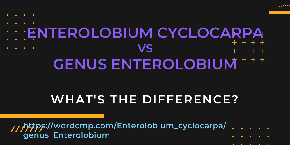Difference between Enterolobium cyclocarpa and genus Enterolobium