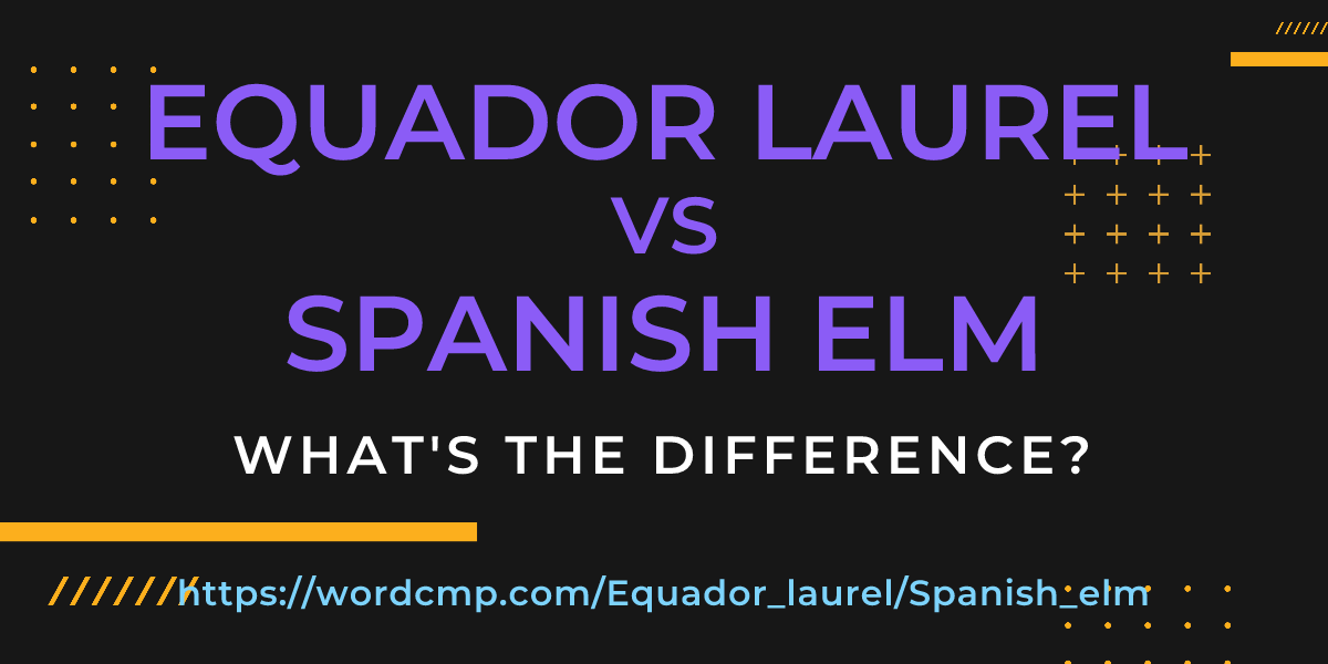 Difference between Equador laurel and Spanish elm