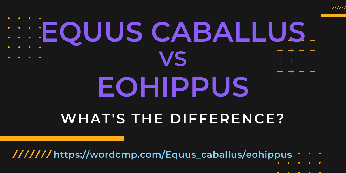 Difference between Equus caballus and eohippus