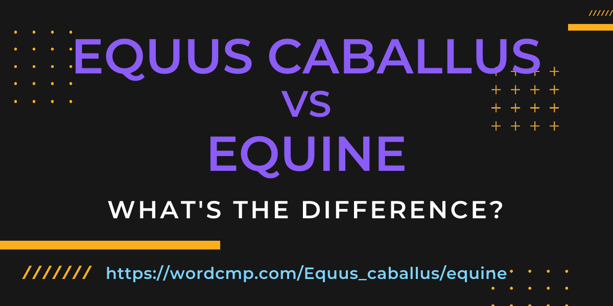 Difference between Equus caballus and equine