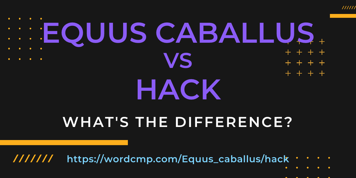 Difference between Equus caballus and hack