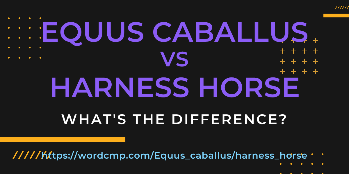 Difference between Equus caballus and harness horse