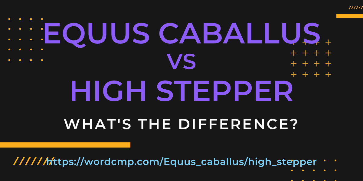 Difference between Equus caballus and high stepper