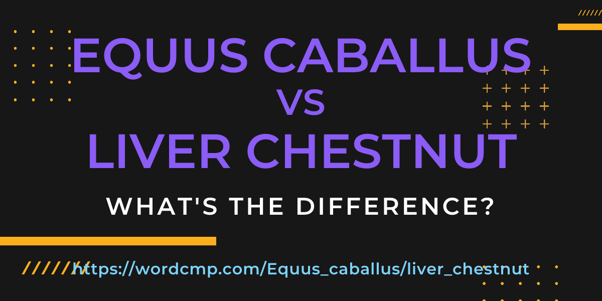 Difference between Equus caballus and liver chestnut