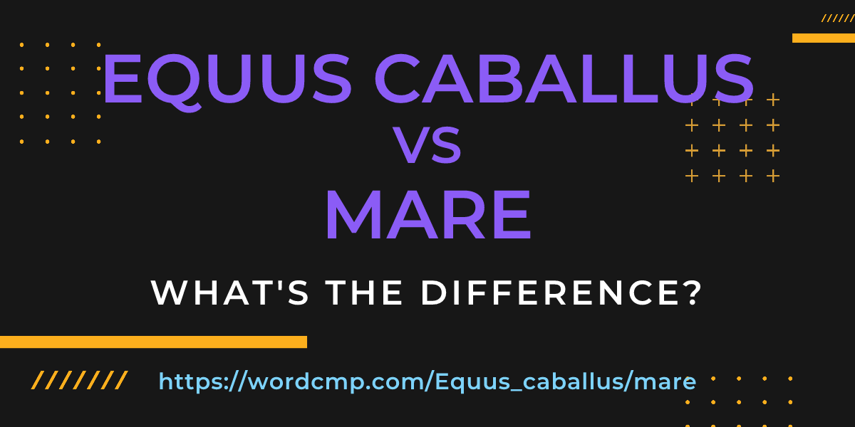 Difference between Equus caballus and mare