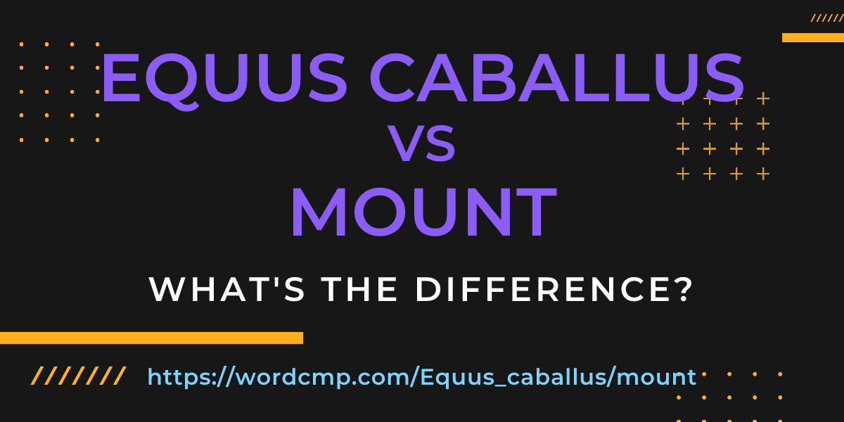 Difference between Equus caballus and mount