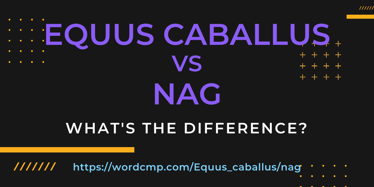 Difference between Equus caballus and nag