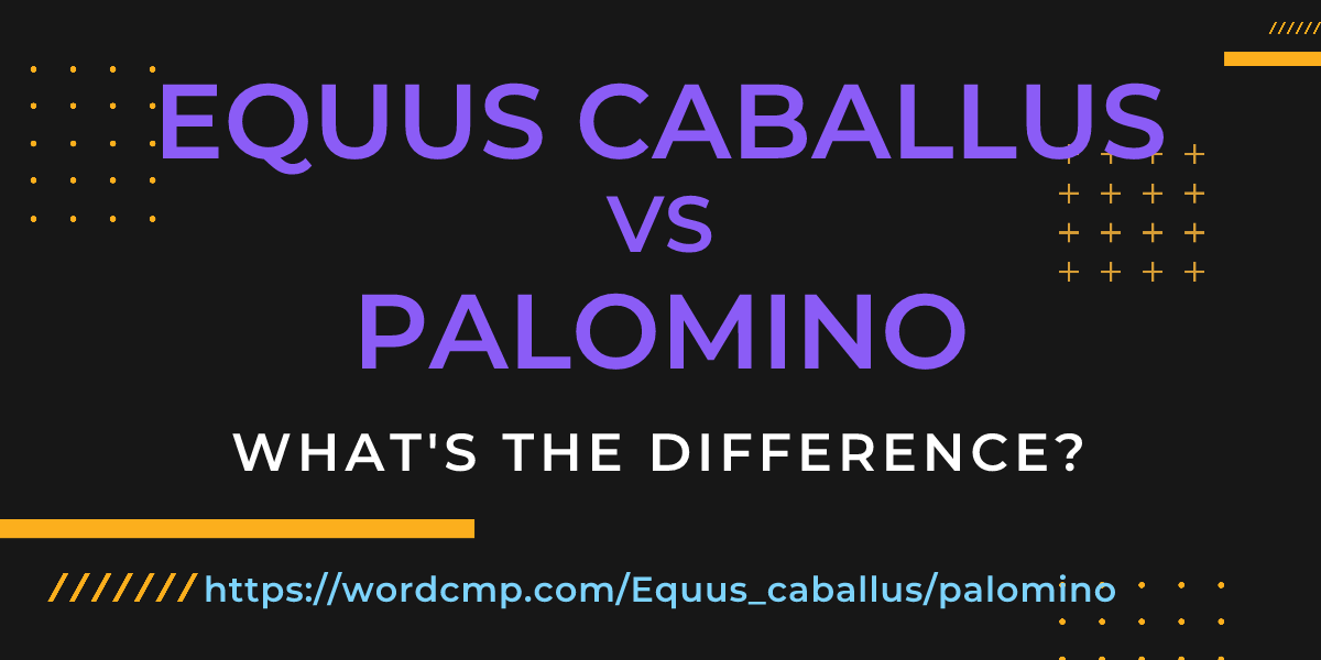 Difference between Equus caballus and palomino
