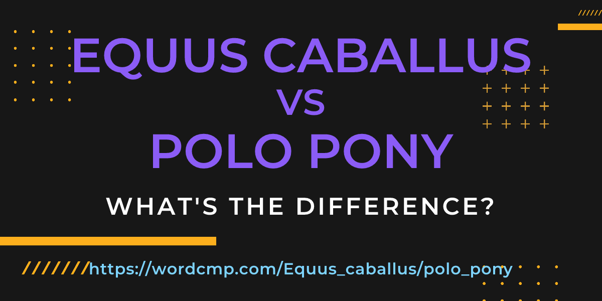 Difference between Equus caballus and polo pony