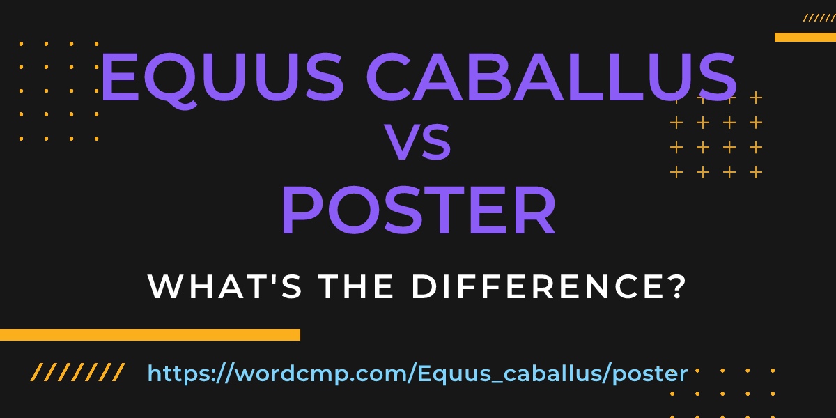 Difference between Equus caballus and poster