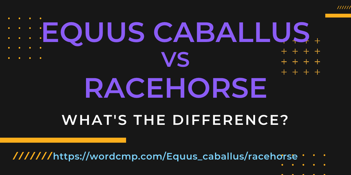 Difference between Equus caballus and racehorse