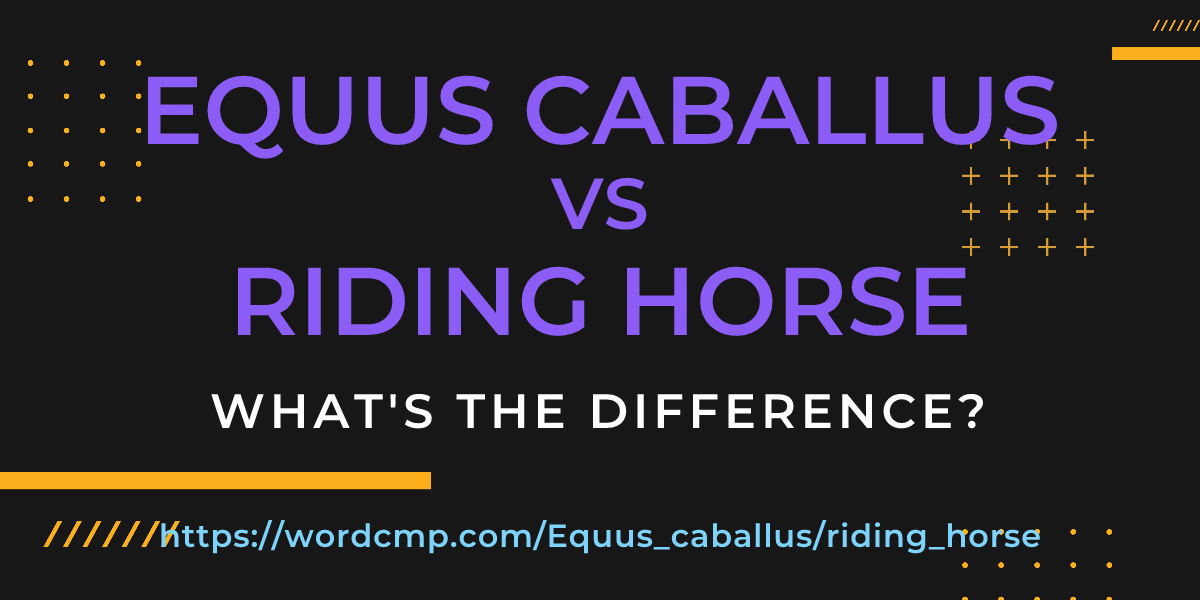 Difference between Equus caballus and riding horse