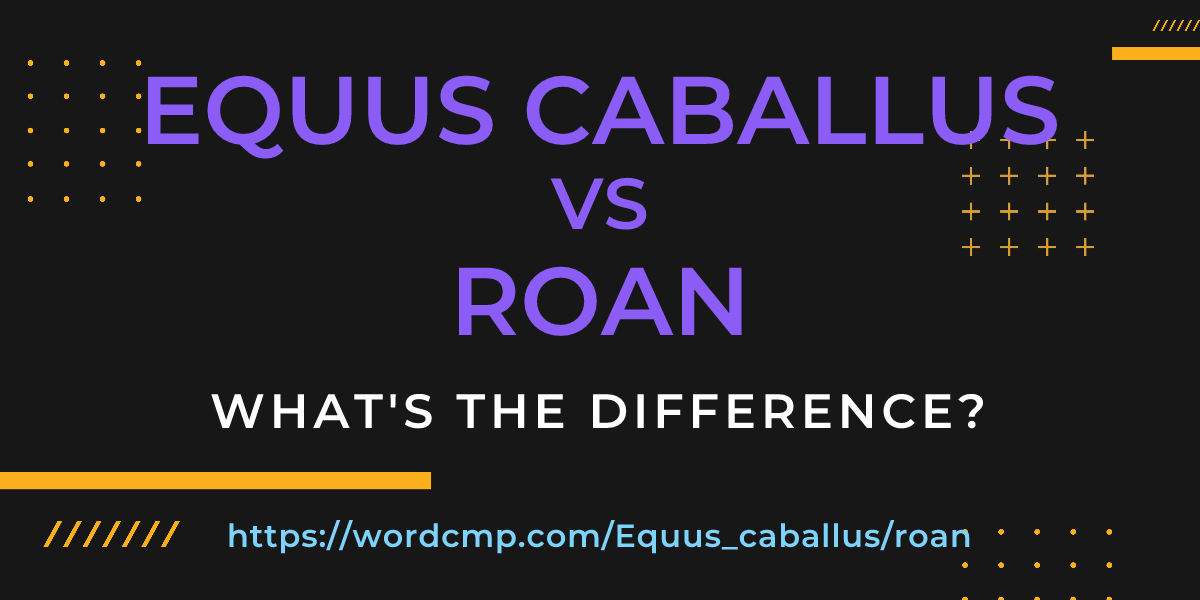 Difference between Equus caballus and roan