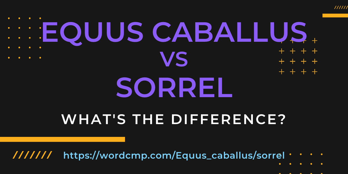 Difference between Equus caballus and sorrel